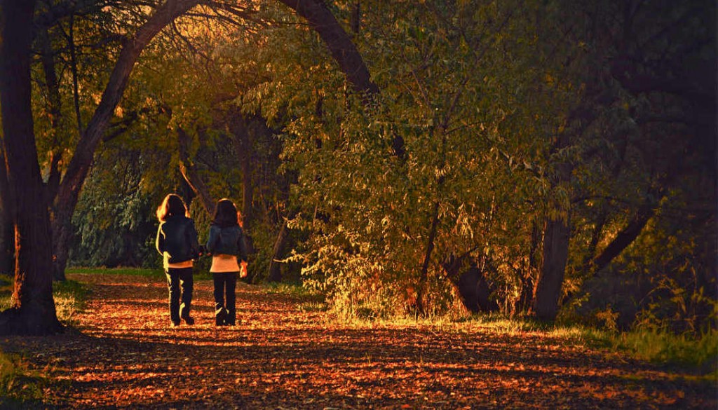 friends walking